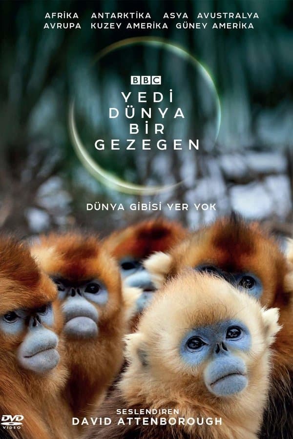 TR:Yedi Dünya, Bir Gezegen